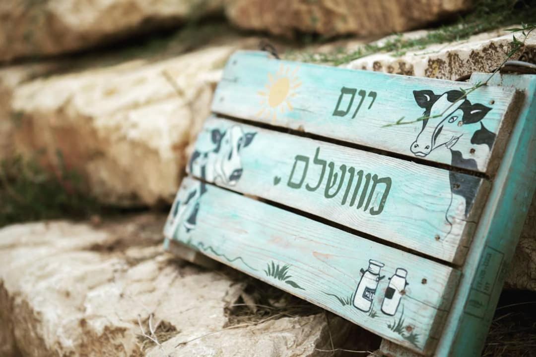 חלון לגלבוע צימר בוטיק בעמק המעיינות Bet Alfa Esterno foto